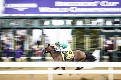 breeders' cup results and payouts|2022 Breeders' Cup Results and Payouts .